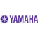 ⠀⠀⠀