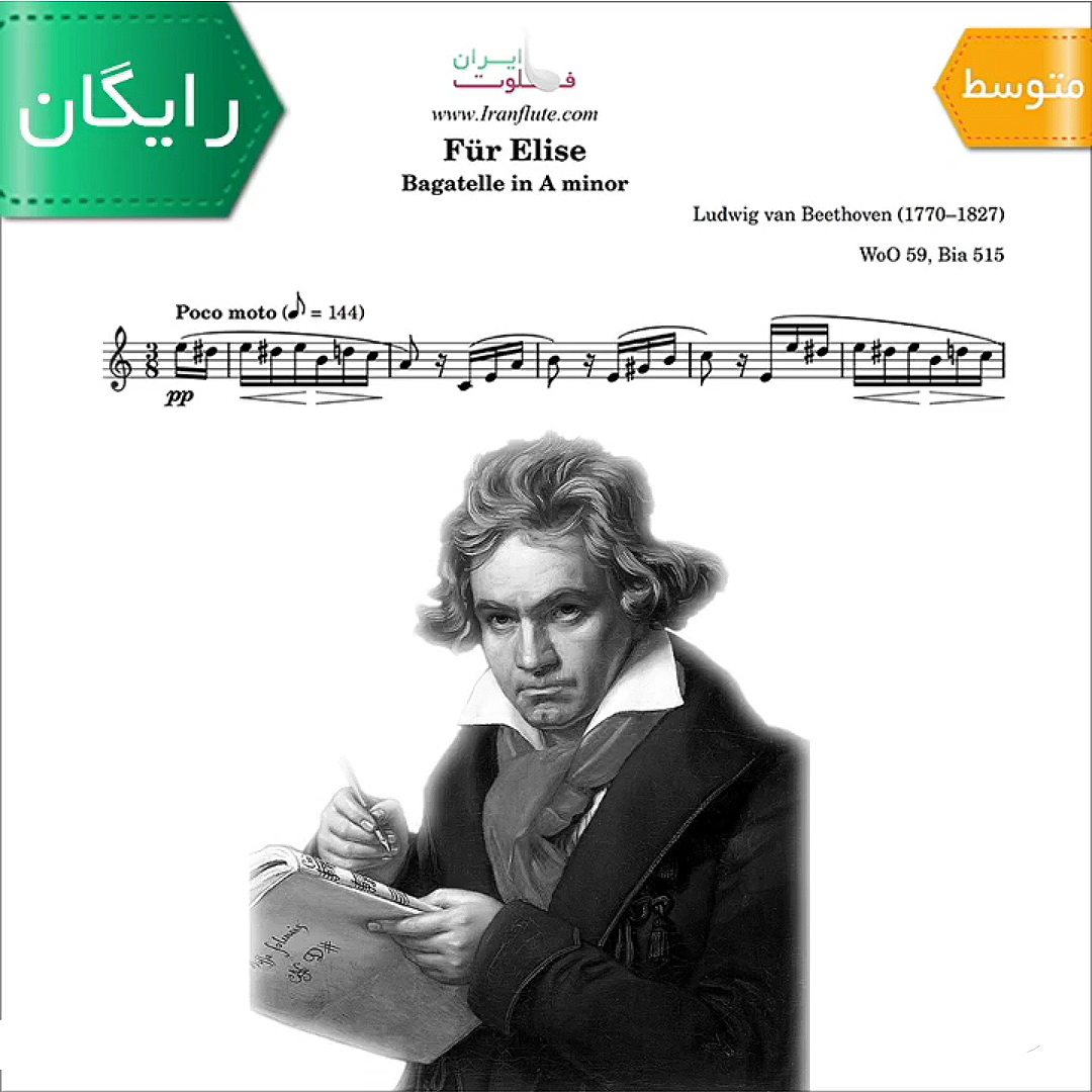 نت کلاسیک فلوت | L.V.Beethoven - Fur Elise